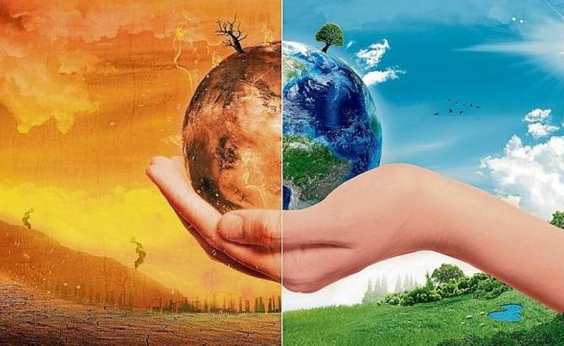 Deforestación y Cambio en el uso de suelo